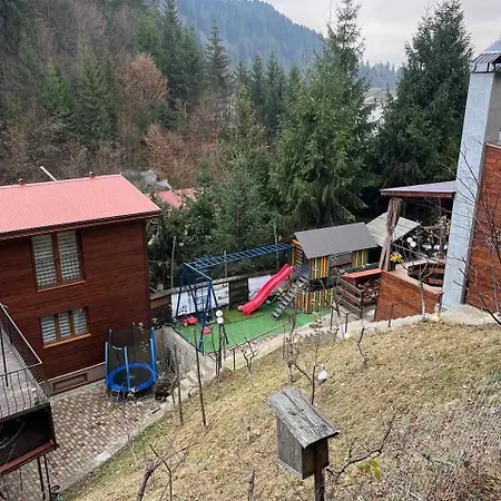 бункер чан